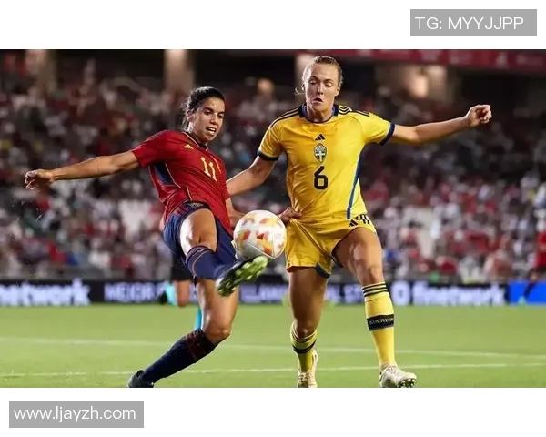 法国与瑞典精彩对决全场录像回放及精彩瞬间分析